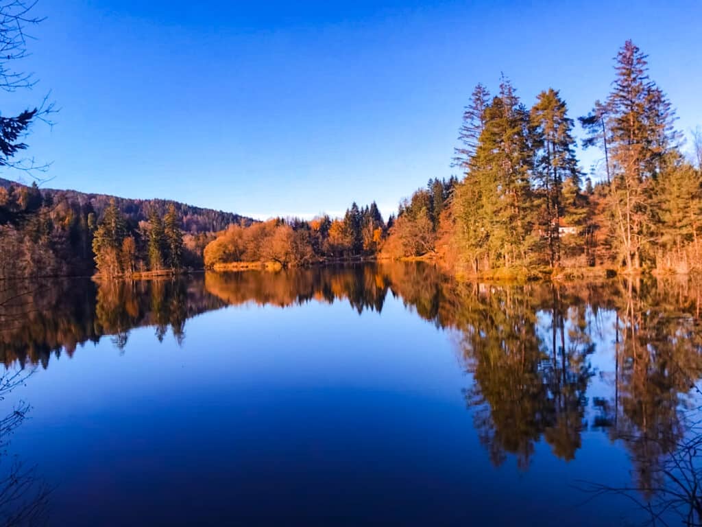 Teich mitten im Wald der bei Sonnenuntergang die Herbstfarben der Bäume wiederspiegelt. 