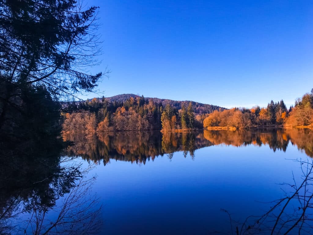Aussicht auf einen großen Teich bei Sonnenuntergang in der Mitte eines Waldes in Kaernten in der Herbstzeit.  
