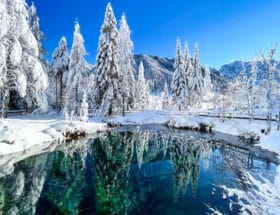 Meerauge Winterlandschaft in Kärnten