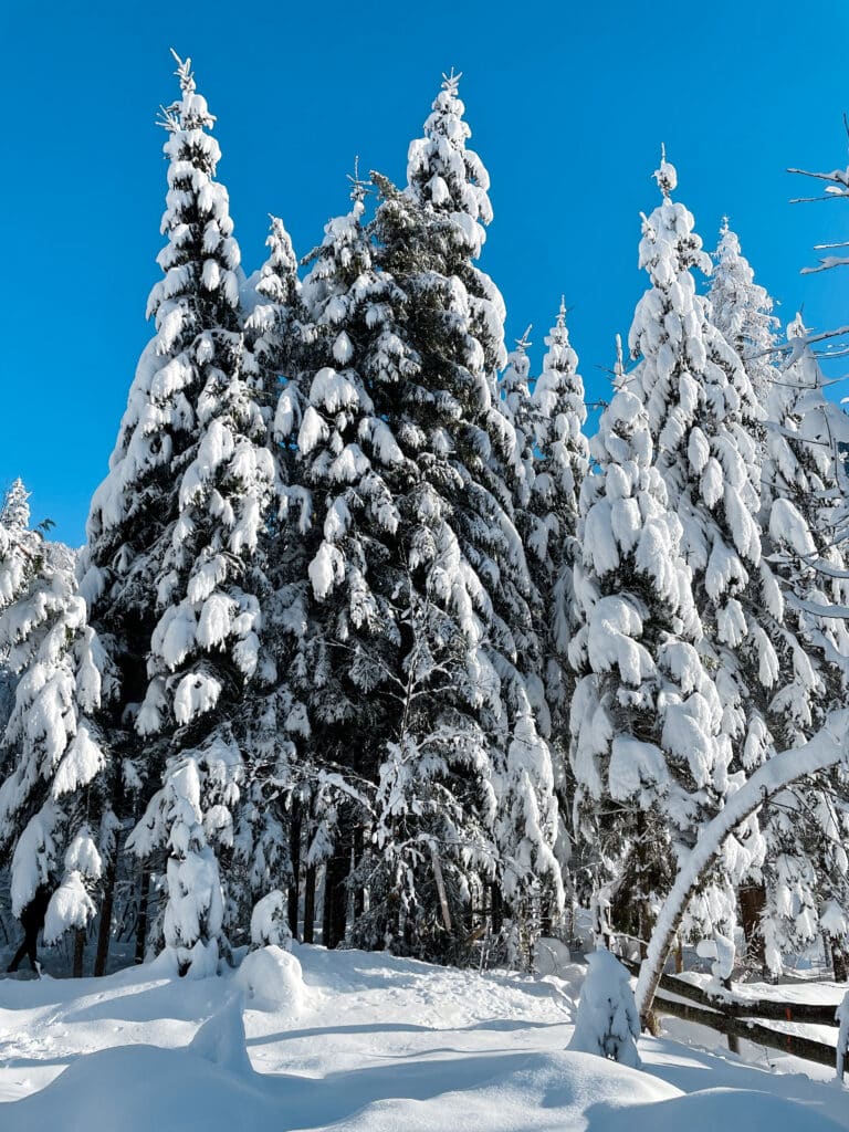 Winterlandschaft in Kärnten 