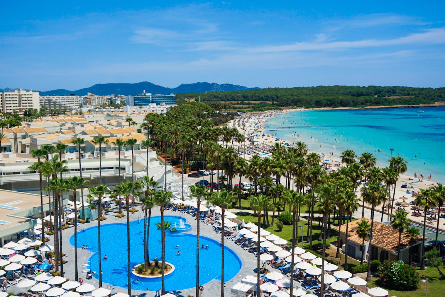 Aussicht vom Dach auf den großen hoteleigenen Pool auf Mallorca Sa Coma umgeben von hohen Palmen. Im Hintergrund sieht man das türkisfarbene Meer und den weißen Sandstrand. bei schöne Wetter.